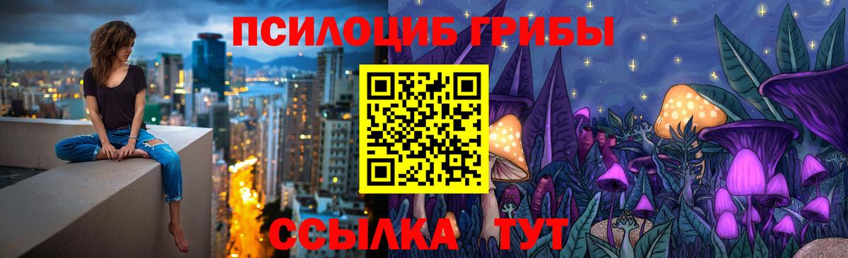 Назарово  Псилоцибиновые грибы Psilocybe  Вход с VPN 